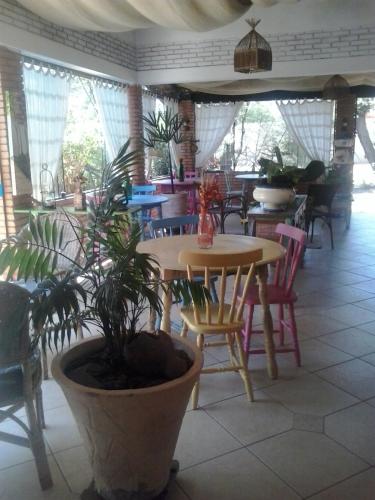 una sala da pranzo con tavolo, sedie e piante di Pousada da Lua São Pedro a São Pedro