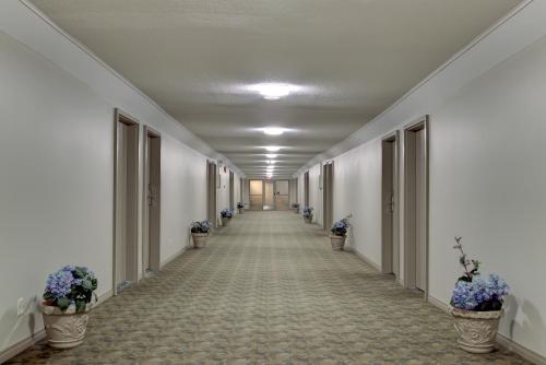 an empty hallway with potted plants on the walls at Knights Inn Kamloops in Kamloops
