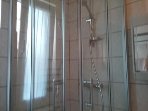 オストゼーバート・ゼリンにあるHaus Granitzのバスルーム(ガラスドア付きのシャワー付)