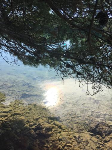 Φυσικό τοπίο κοντά σε αυτή η παραθεριστική κατοικία