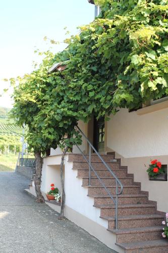 a set of stairs next to a building with plants at No. 73 - Idylle im Rebenmeer in Pleisweiler-Oberhofen