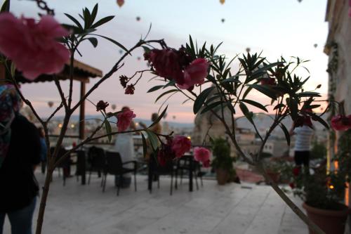 a group of pink flowers sitting on a patio at Shoestring Cave House in Goreme