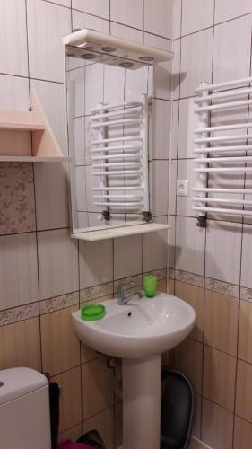 a bathroom with a sink and a mirror and a toilet at Sadyba Margaryta in Truskavets