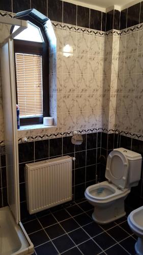 La salle de bains est pourvue de toilettes, d'une fenêtre et d'un lavabo. dans l'établissement Vila D&D, à Zlatibor