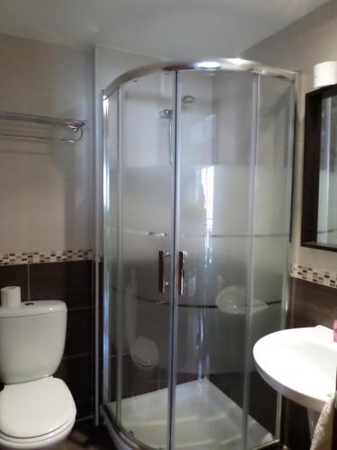 a bathroom with a shower and a toilet and a sink at Apartamento Jardines del Sella in Cangas de Onís