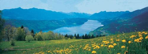 Gallery image of Hotel Weidenhof in Klagenfurt