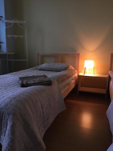 イグナリナにあるGreen Hall apartmentのギャラリーの写真