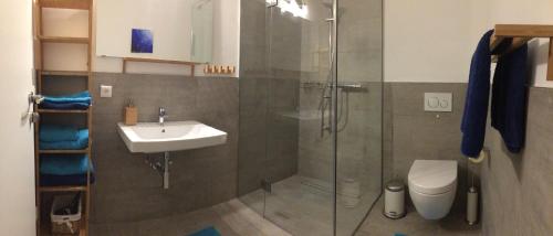 bagno con doccia, lavandino e servizi igienici di Appartement Schusternagele ad Amlach