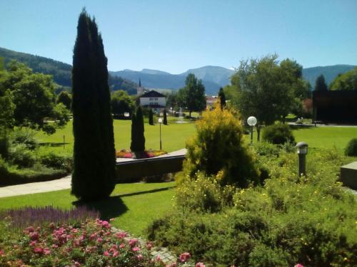 a garden with trees and flowers in a park at Schnuckelig und Fein in Oberstaufen