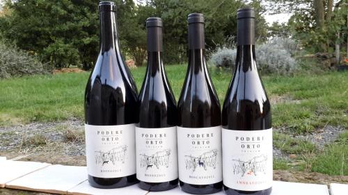 three bottles of wine sitting on a table at Podere Orto Wine Country House in Trevinano