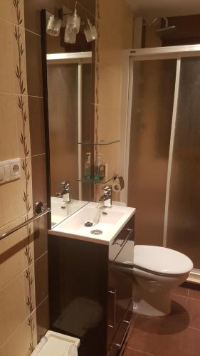 La salle de bains est pourvue d'un lavabo et de toilettes. dans l'établissement Apartamentos La Guertina, à Cangas de Onís