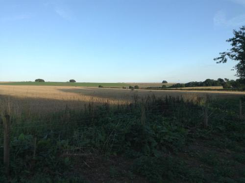 a field with a fence in the middle of it at B&B Dorwyn Manor in Avebury