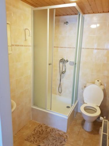 e bagno con doccia, servizi igienici e box doccia in vetro. di Apartmany chaloupka a Tanvald