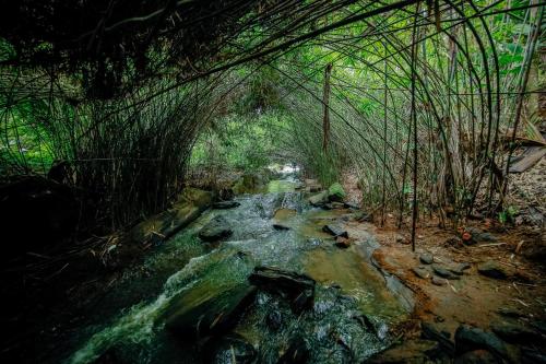 Gallery image of Bamboo Creek Resort in Vaduvanchal