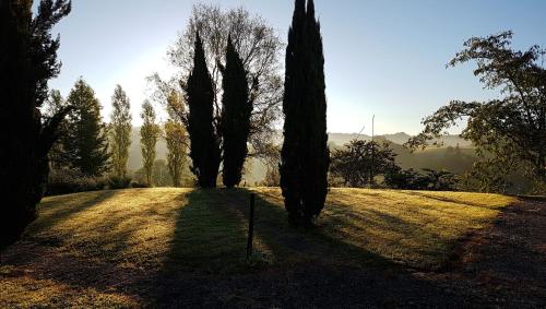 two trees on a grassy field with the sun behind them at Chambres d'Hôtes Secret Pyrenées in Lasseube