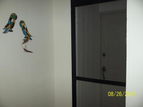 two birds on a wall next to a door at La Casa del Chac in Mérida