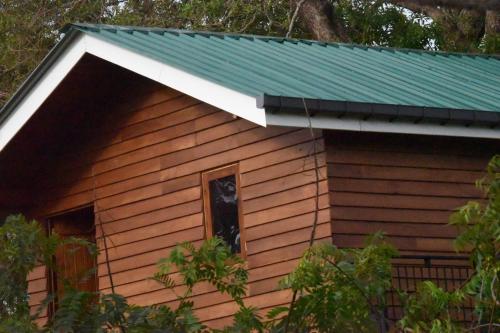 a cat looking out of a window of a house at Wilpattu Tree House in Wilpattu