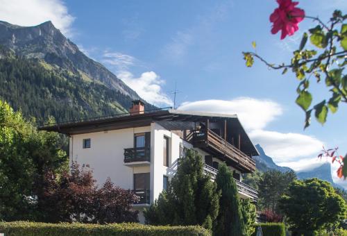 a building with a mountain in the background at Mont Blanc Views Apartments in Passy