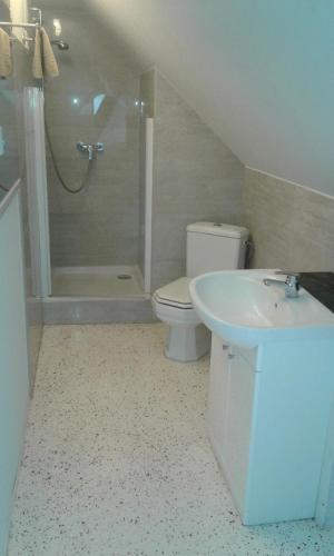 a bathroom with a toilet and a sink and a shower at Zum Holzwurm in Mühlanger