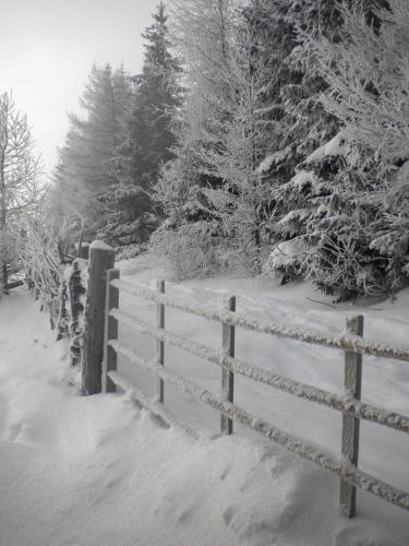 a fence covered in snow next to some trees at Sommeralmhütte in Sankt Kathrein am Offenegg