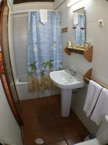 a bathroom with a sink and a shower at El Bulin de Horcajuelo in Horcajuelo de la Sierra