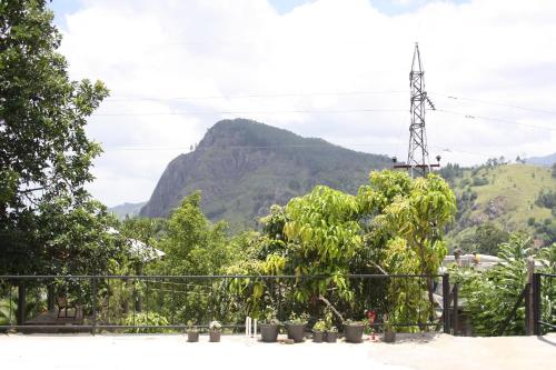 Gallery image of Welcome Homestay in Ella