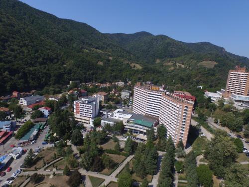 バイレ・ヘルクラネにあるHotel Domogledの建物や山々のある街並み