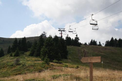 Příroda nedaleko apartmánu
