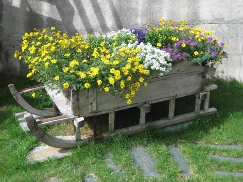 a wooden planter filled with flowers on a wheelbarrow at Residence Casa Federica in Valfurva