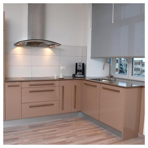 a kitchen with white cabinets and a sink and a counter at Les logis de l'horloger in La Chaux-de-Fonds