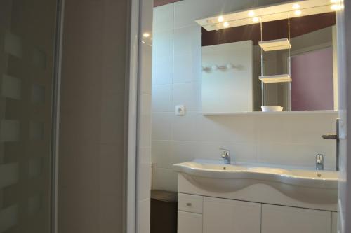 La salle de bains est pourvue d'un lavabo et d'un miroir. dans l'établissement Gite de l'ile Médocaine, à Castelnau-de-Médoc