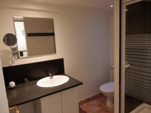 une salle de bain avec un lavabo et un miroir et des toilettes dans l'établissement Gîte des lavandes, à Montagnac