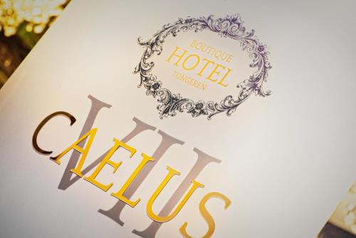 a sign for a hotel with the words hotel lifts at Boutique Hotel Caelus VII in Tongeren