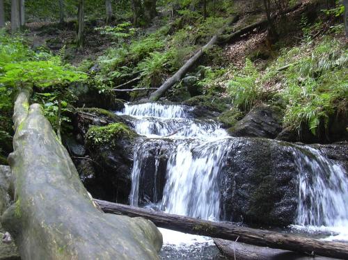 a waterfall in the middle of a forest at Apartman Ašek in Ramzová