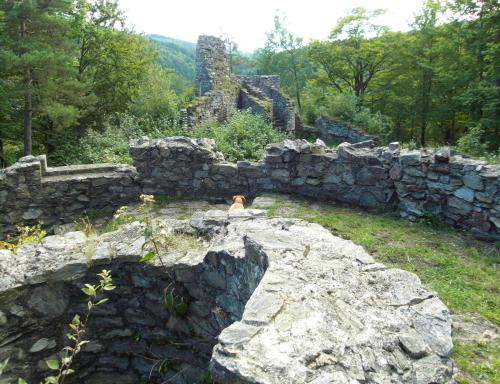 a dog sitting on top of a stone wall at Apartman Ašek in Ramzová