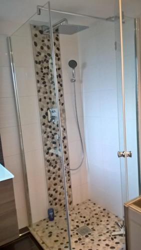 a shower with a glass door in a bathroom at Familienzimmer in Kassel in Kassel