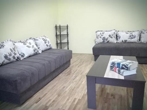 ein Wohnzimmer mit einem Sofa und einem Couchtisch in der Unterkunft Apartment Jelena in Belgrad