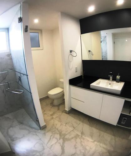a bathroom with a sink and a toilet and a shower at Departamento Zona Romantica in Puerto Vallarta