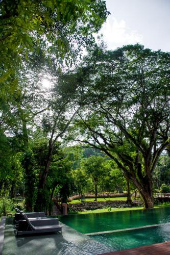 Πισίνα στο ή κοντά στο Flora Creek Chiang Mai