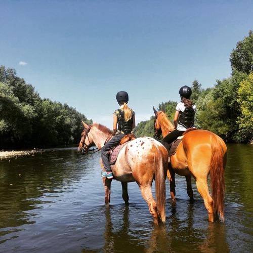 two people riding on horses in the water at Rezort u Bobiho in Nový Tekov