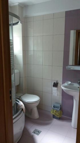 a bathroom with a toilet and a sink at Casa Fulg de Nea in Moieciu de Sus