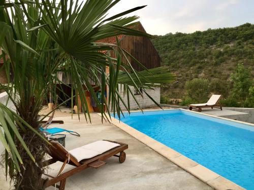 a swimming pool next to a house with a palm tree at Lacoste B&B in Saint-Clair