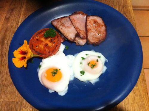 a blue plate with eggs and bacon and toast at Windrose B&B in Denmark