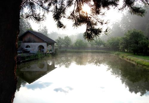 a barn sitting on the side of a river at Forest B&B in Krāslava
