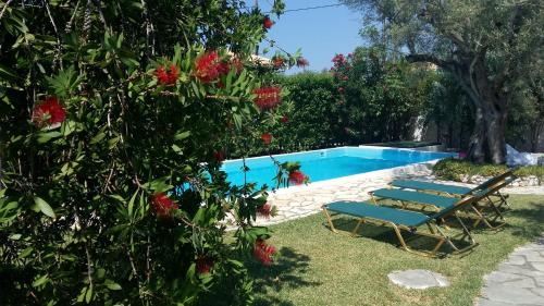 a pool with two lounge chairs next to a tree at VK Villas in Apolpaina