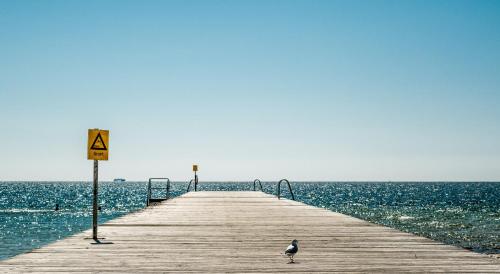 a bird standing on a pier over the water at Ystad Holiday Houses in Ystad