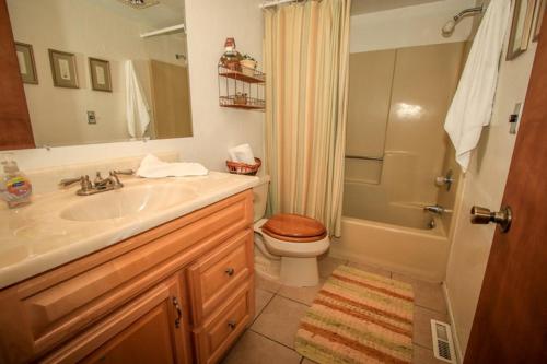 a bathroom with a sink and a toilet and a shower at Family Fun House in Big Bear Lake