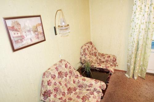 モスクワにあるАпартаменты Новокузнецкаяのリビングルーム(椅子2脚、植物付)