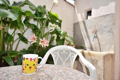 Apartment Paradise Holiday