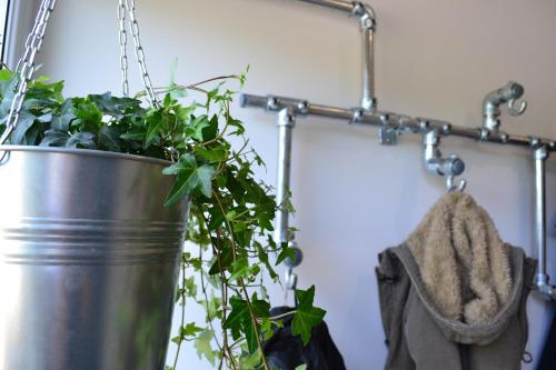 a large metal bucket with a plant in it at 1 Woodlands in Llandysul